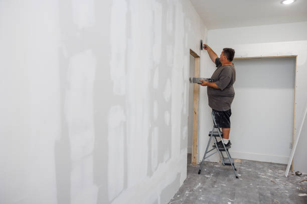 Best Fire-Damaged Drywall Repair  in Albion, NY